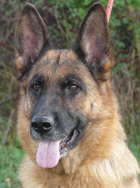 Vendy Vom ladignac farm