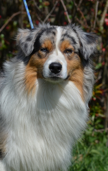 Fuel for life Du clos des duchesses