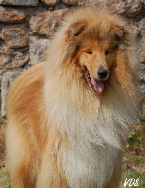 Eloquent charm Du clos de sea-wind