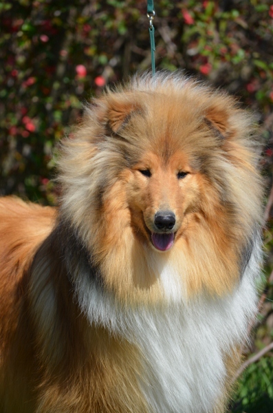 Ghost whisperer de la Passion d'une Vie