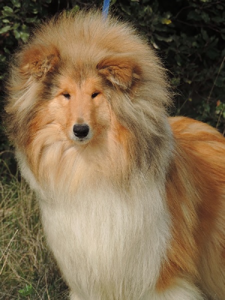 Interview of star de la Passion d'une Vie