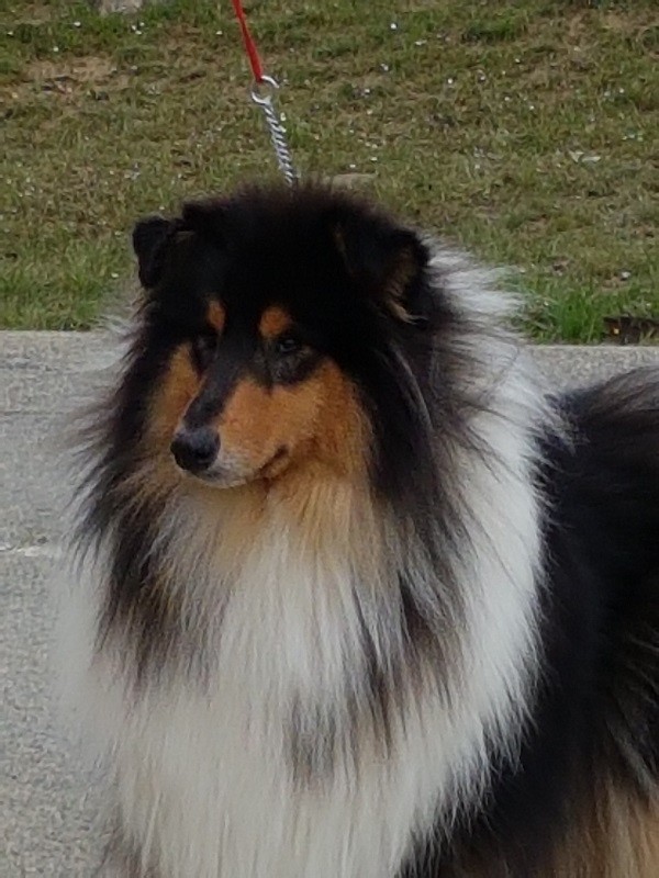 My black beauty Du Clos De Seawind